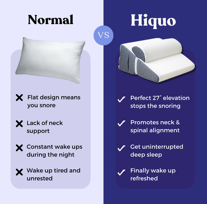 Hiquo Wedge Pillow