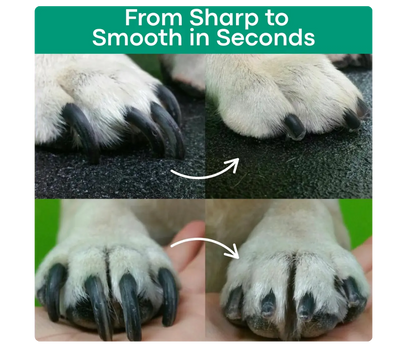 The Nailguard™ By Pawsafe