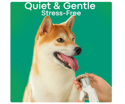 The Nailguard™ By Pawsafe