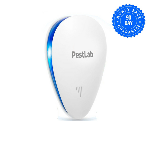 Flea/Pest Repeller