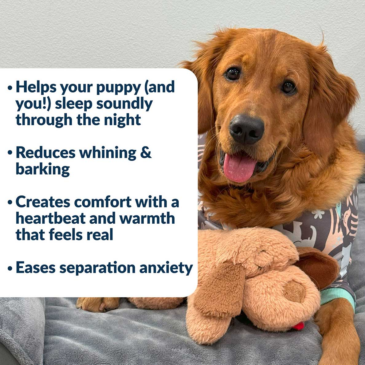 Calming Heartbeat Dog Plush