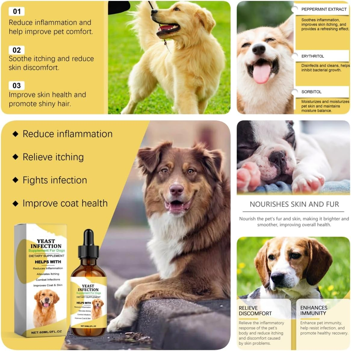 Yeast Infection Treatment for Dogs